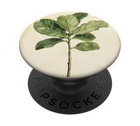 Pianta illustrazione scientifica vintage fico foglia violino PopSockets PopGrip Adesivo