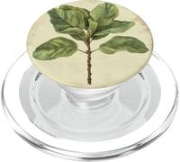 Pianta illustrazione scientifica vintage fico foglia violino PopSockets PopGrip per MagSafe