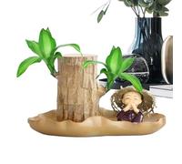 Pianta in legno brasiliano, piccola pianta brasiliana in legno con statue di, piante idroponiche in vaso, piante da interno per scrivania