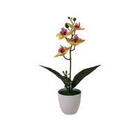 Pianta in vaso di orchidea plastica 31 cm per decorazione tavolo casa ufficio ne