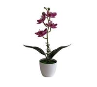 Pianta in vaso di orchidea plastica 31 cm per decorazione tavolo casa ufficio ne