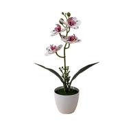 Pianta in vaso di orchidea plastica 31 cm per decorazione tavolo casa ufficio ne