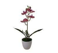 Pianta in vaso di orchidea plastica 31 cm per decorazione tavolo casa ufficio ne