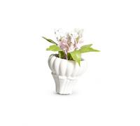 Pianta in Vaso Miniatura Casa Bambole, color to 3 | composito, bambole, Per ambientazioni fantasy, Per artisti miniaturisti