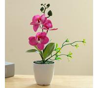 Pianta in vaso simulata realistica decorazione bonsai artificiale Phalaenopsis
