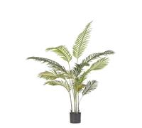 Pianta Kenzia C-Vaso 14Foglie H120
