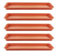 Pianta pianta 5pcs 19x6x1 Vassoio vegetale Rettangolare Ispessito Piatti di Piatti pp vaccini pastorali minimalisti di gocciolamento per Forniture di Giardinaggio Esterno Interno..