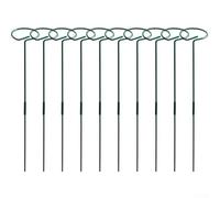 Pianta regolabile in altezza supporta 10 set di pali robusti per mantenere la stabilità delle piante da interno o esterno
