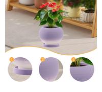 Pianta rotonda moderna con foro di drenaggio e piattino per le piante da