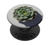 Pianta succulenta verde PopSockets PopGrip Adesivo