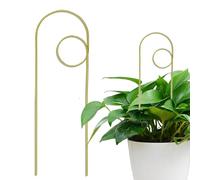 Pianta Trellis Indoor, Small Freestanding Metal Support, Compact Climbing Frame Potted Piante, Decorative Garden Accessory, Ideale per piantine, Vegetable, Pomodoro