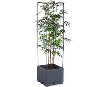 Pianta Trellis Outdoor - Supporto Per Pianta Resistente Traliccio | Fioriera Decorativa Rustica Indipendente per Ossido per L'UVA Cetriolo Di Orto Sul Balcone Patio