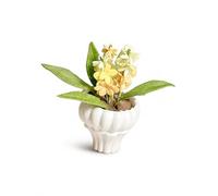 Pianta Vaso Miniatura per, Tonalità gialla | composito, Finto fiore miniatura, Nelle gioco, Per nisti adulti