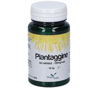 Piantaggine 60 Capsule 60 pz Capsule