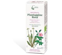 Piantaggine Ra Macerato Caira