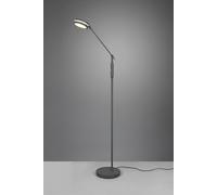 Piantana da Interno a LED SMD in Metallo Antracite