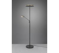 Piantana da Interno a LED SMD in Metallo Antracite