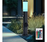 Piantana Esterno Cortile Regolatore Sensore di Movimento Telecomando RGB LED H [EEK: F]