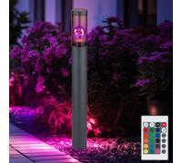 Piantana Esterno Lampada Cortile Telecomando Regolatore Acciaio Inox RGB LED [EEK: F]