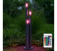 Piantana Lampada da Pavimento Luce per Esterni Antracite Rauch LED Telecomando [EEK: F]