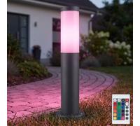 Piantana Lampada per Esterni Cortile Telecomando Cambio Colore RGB LED