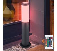 Piantana Lampada per Esterni Cortile Telecomando Cambio Colore RGB LED [EEK: F]
