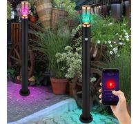 Piantana Lampada per Esterni da Pavimento Sensore di Smart RGB LED Nero 2er Set