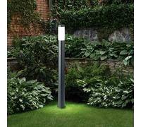 Piantana Lampione Esterni Lampada da Giardino Acciaio Inox Antracite H 110 CM [EEK: Non valutato]