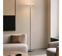 Piantana LED Lucande Raymond, color titanio, CCT, dimmerabile LUCANDE