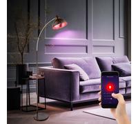 Piantana Luce Lampada Tavolo Smart RGB LED Dimmerabile Cambiacolore Google Alexa