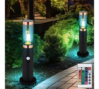 Piantana Luce per Esterni Lampada RGB LED Telecomando Sensore di Movimento 2x