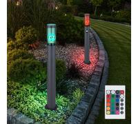 Piantana Luce per Esterni Lampada Sensore di Movimento Regolatore Remoto LED 2x [EEK: F]