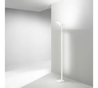 Piantana in metallo colore bianco Quadra Interruttore touch on/off, CCT e dimmer sullo stelo LED 24W + 10W CCT 3000K 4000K 6000K CRI?80 220-240V 50/60Hz 2160Lm + 900Lm