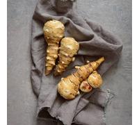 piantare semi di (Helianthus tuberosus),Semi di d'appartamento,resistenti d'appartamento,per luoghi soleggiati Coltivare semi,piantare semi 200pcs