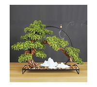 Piante artificiali bonsai in pino bonsai feng shui albero ufficio ornamenti zen con supporto per incenso per la guarigione e la fortuna della decorazione delle piante finte (colore) (verde)
