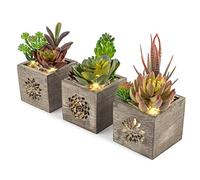 Piante artificiali decorative per interni in vaso, piante grasse finte, presentate in una vera scatola di legno con motivo unico e luci a LED, le nostre piante finte per camera da letto sono un