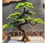 Piante Artificiali, Decorazioni Bonsai, Albero Bonsai Artificiale Podocarpus, Finti Pini per Accogliere Gli Ospiti, Decorazioni per Casa, Tavolo, Ufficio, Camera da Letto, Soggiorno, Color, 1.5x1.2m