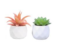 Piante artificiali e piante grasse in 2 vasi di ceramica bianca, piccole piante finte per ufficio e scrivania, bagno, camera da letto, mensole per donne