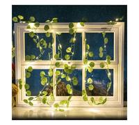 Catena decorata con foglie di eucalipto a energia solare 100 Led 10 metri Bianco caldo Aigostar