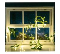 Aigostar Ghirlanda Ulivo Solare 2m 60 LED Luce Calda 8 Modalità IP65