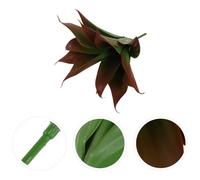 Piante Artificiali Per Esterni Agave Artificiale Finte Da Interno