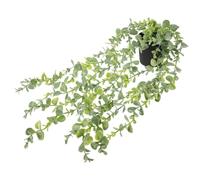 Piante artificiali sospese con vasi appesi a vite Piante artificiali sospese in