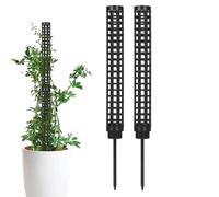 Piante Atterrolli - Monstera Supporto Piante | Moss Pole Monstera Supporto Piante | Supporto Per Piante Da Arrampicata Per Vasi | Pose Di Muschio Nello Spirito Traspirante | Flower Po Herram