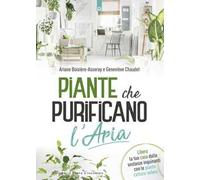 Piante che purificano l'aria