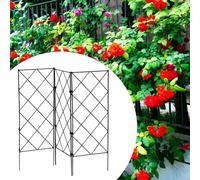 Piante da arrampicata per il giardino Trellis Plant Stand per portico del
