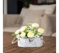 Piante di ferro secchio di fiori campagna decorazione del balcone con