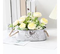Piante di ferro secchio fiore decorazioni per la casa piante succulente