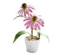 Piante di fresia finte, perfette per abbellire la casa e l'ufficio (rosa)