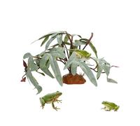 Piante di rettili per terrario, decorazione realistica per acquario, foglie artificiali per acquario, per pesci, tartarughe, betta, , leopardo, camaleonte, rana, eremita, anfibi