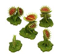 Piante E Rocce Fantastiche - Piante Carnivore